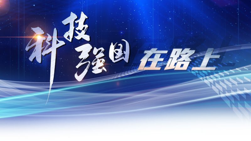 数字化解决方案定制，费用几何？揭秘定制化之路**